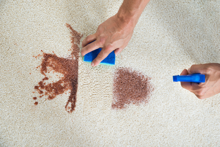 Cropped image of man cleaning stain on carpet with sponge